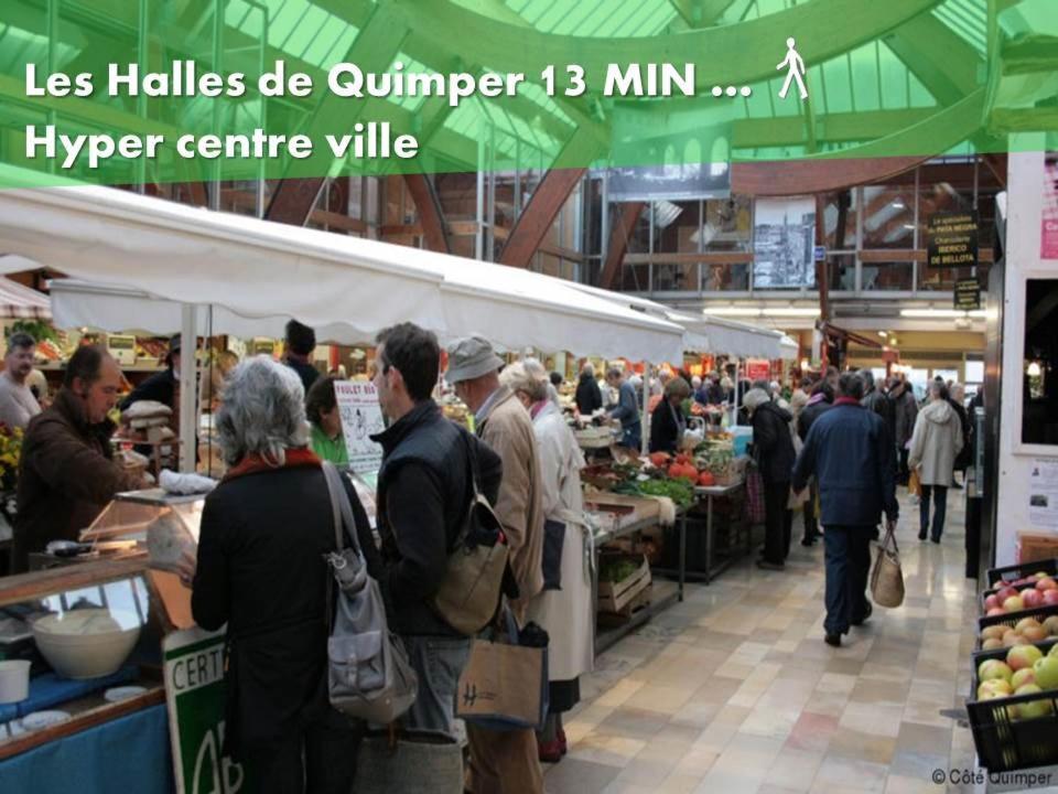 Le Nid 2 Quimper By Nid'Ouest Lejlighed Eksteriør billede